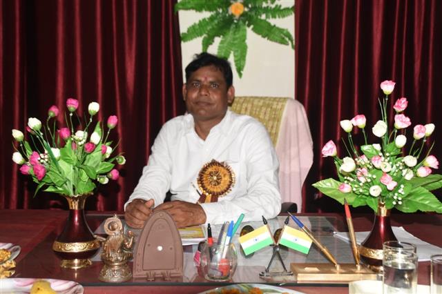 Government Pt. Devi Prasad Choubey College, Saja